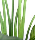 Ver imagem 2 de Bananeira Artificial para Decoração Sala Árvore Real Toque com 2.20m.