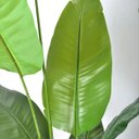 Ver imagem 3 de Bananeira Artificial para Decoração Sala Árvore Real Toque com 2.20m.