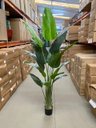 Ver mais imagens de Bananeira Artificial para Decoração Sala Árvore Real Toque com 2.20m.