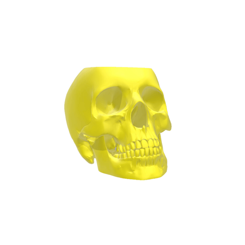 Caveira - Vaso Cactos ou Suculentas:amarelo