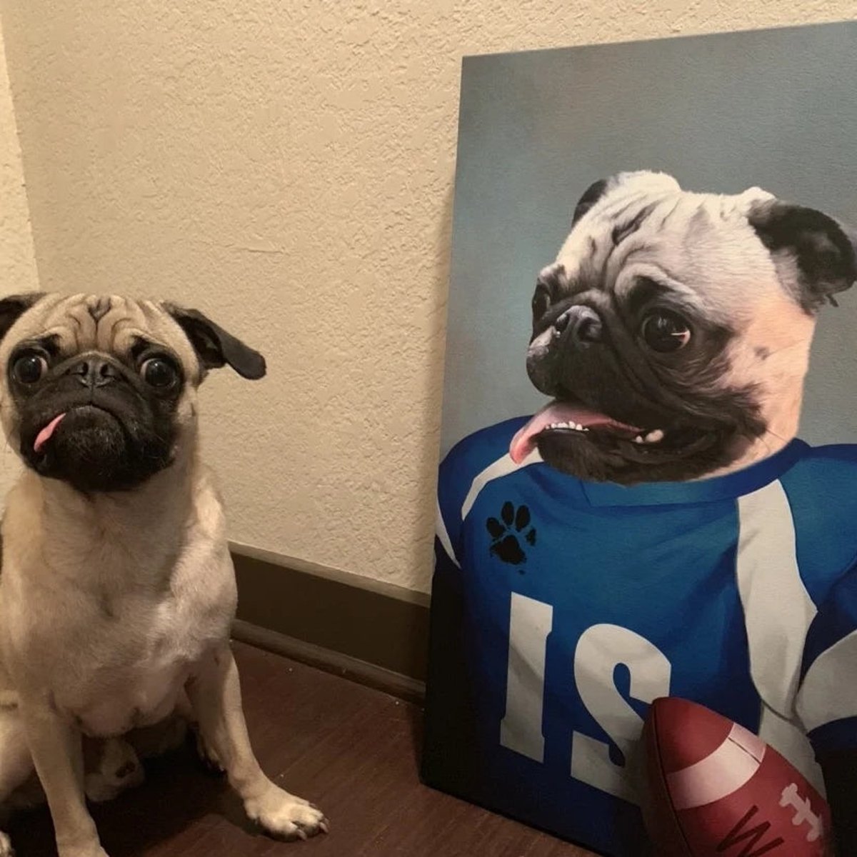Quadro Pintura Tela futebol estimação moldado jogador 5174: 100cm (A) x 120	cm (L) - 1