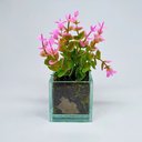 Ver imagem 1 de Folhas de Eucalipto com Vaso Transparente - Rosa