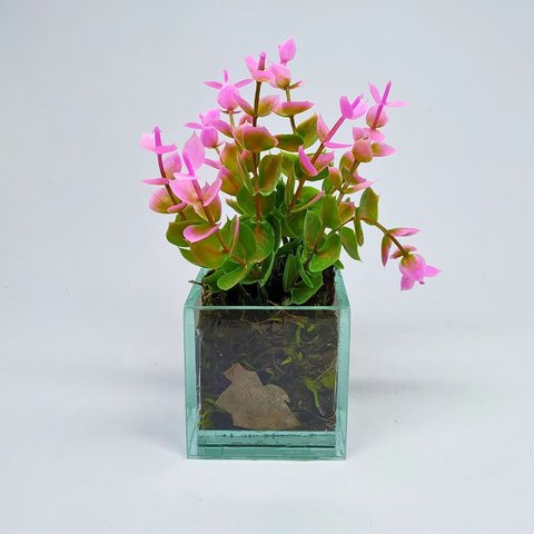 Folhas de Eucalipto com Vaso Transparente - Rosa