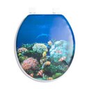 Ver imagem 2 de Tampa Sanitaria Oval Decorada Almofadada Universal Macia Assento de Vaso para Banheiro Privada e Cas