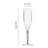 10 Taças de Champanhe Acrílico 180ml Transparente - Pit-180 - 2