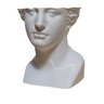 Vaso Cachepot Cabeça de Venus de Milo Branco - 1