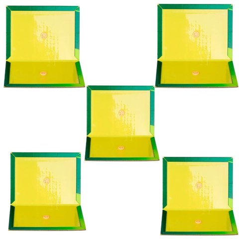 Ratoeira Adesiva Cola Pega Rato 20x15cm | 05 Un