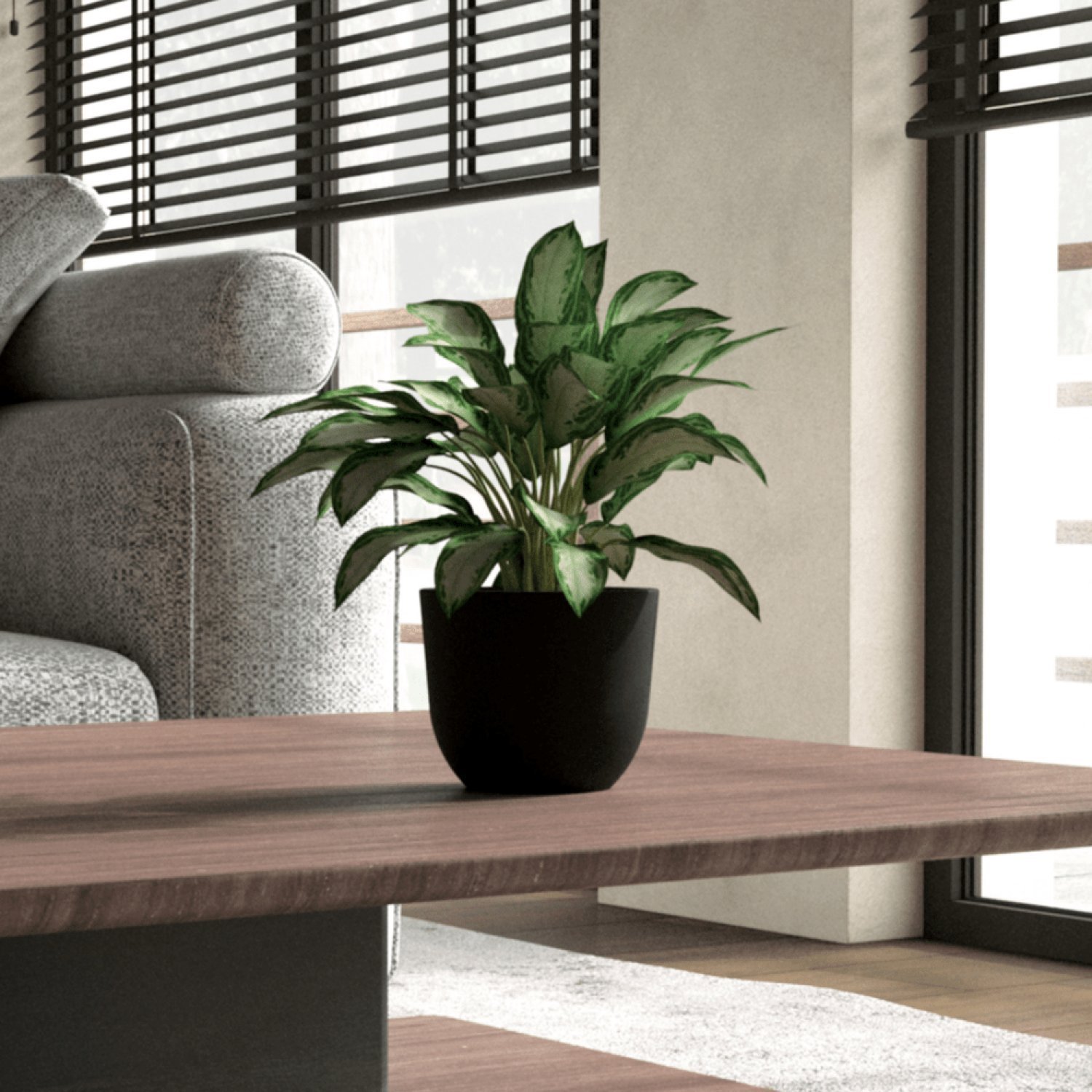 Vaso Decorativo Concept Redondo  N1 - 2