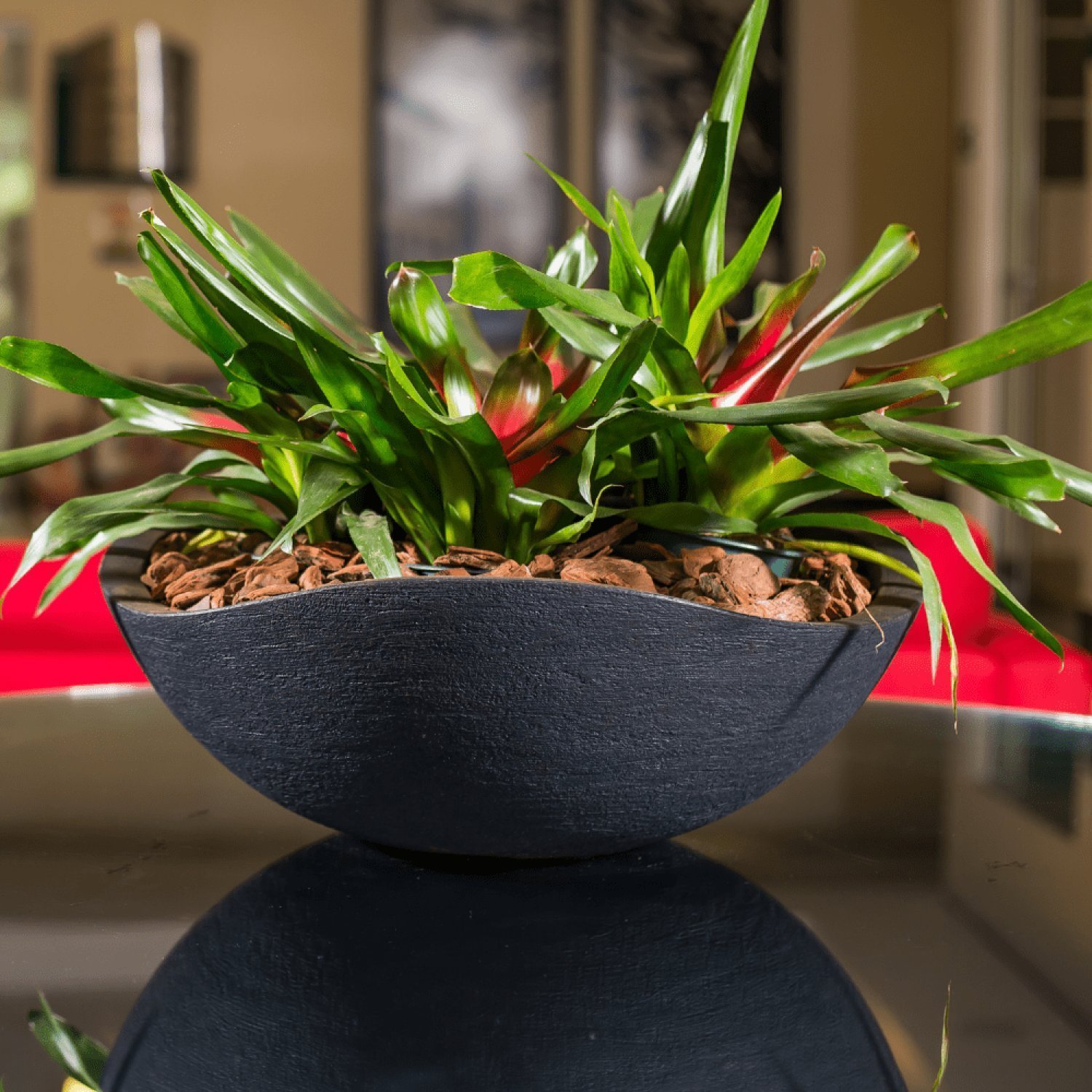 Bacia Decorativa para Plantas Wave 55 - 2