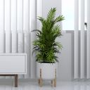 Ver imagem 2 de Vaso Cilíndrico Decore 33 Japi