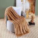 Ver imagem 3 de Cobertor Queen Marshmallow Manta Flannel Ultrasoft - Caramelo