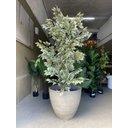 Ver imagem 5 de Vaso de Planta Grande Decorativo para Sala Auto Brilho 47cm (liso/cinza-escuro)