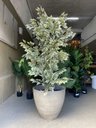 Ver imagem 5 de Vaso de Planta Grande Decorativo para Sala Auto Brilho 47cm (liso/cinza-escuro)