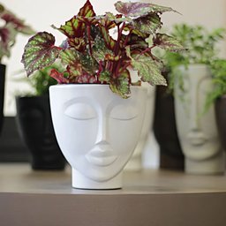 Vaso Face Decorativo para Flores com Rosto de Mulher - 3