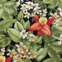 Ver imagem 4 de Conjunto de Poltronas Fibra Sintética Bola - 4 Poltronas + 1 Mesa Centro - Tecido Saquarema