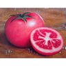 Quadro Frutos e Frutas em Madeira de Demolição Tomate - 1