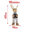 Coelho de Páscoa Decoração em Palha Coelhinho de Chapéu 60cm - 2