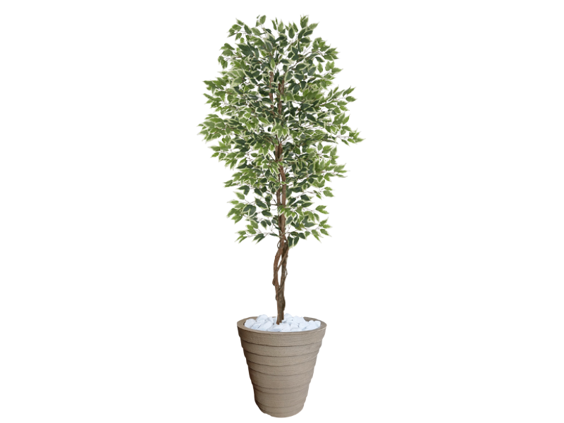 Planta Artificial Ficus Verde Creme 2,10m kit + Vaso Redondo D. Grafiato Bege 40cm