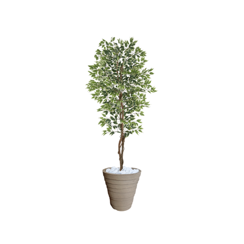 Planta Artificial Ficus Verde Creme 2,10m kit + Vaso Redondo D. Grafiato Bege 40cm