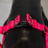 Coleira Peitoral Americano com Guia Cor Rosa Snugpet Peitoral Americana - 1