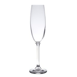 Jogo 12 Taças Champagne e Vinho Collection Crystal Wolff - 5