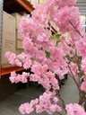 Ver imagem 7 de Árvore Artificial Cerejeira Rosa Grande para Decoração com 2.50m.