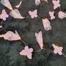 Fio de Luz de Fada Flores e Borboletas Rosa 20 Leds Pilha - 2