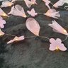 Fio de Luz de Fada Flores e Borboletas Rosa 20 Leds Pilha - 4