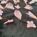 Ver imagem 4 de Fio de Luz de Fada Flores e Borboletas Rosa 20 Leds Pilha