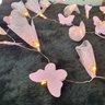 Fio de Luz de Fada Flores e Borboletas Rosa 20 Leds Pilha - 1