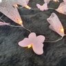 Fio de Luz de Fada Flores e Borboletas Rosa 20 Leds Pilha - 3