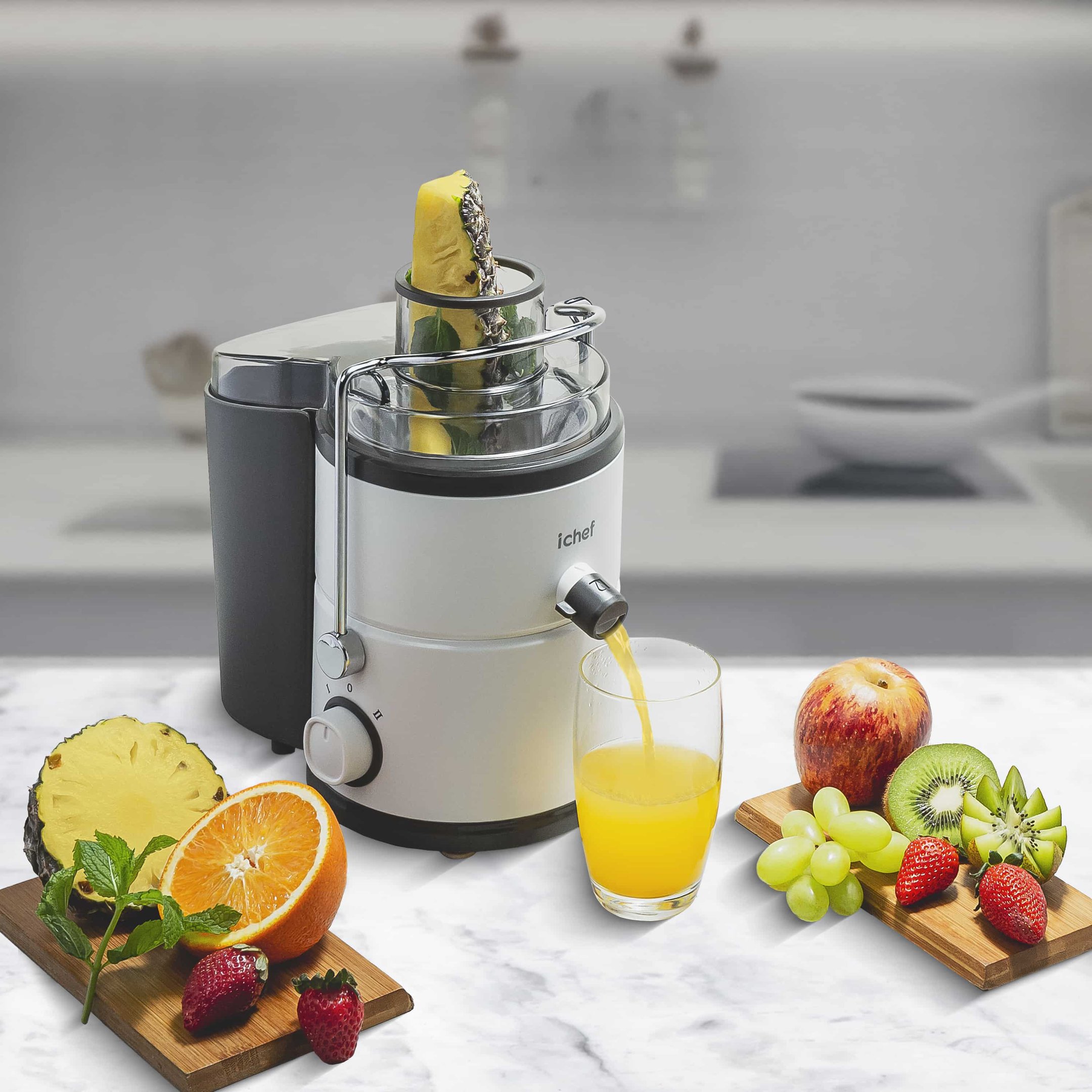 Ichef Vita Juicer 400w | 220v - 4