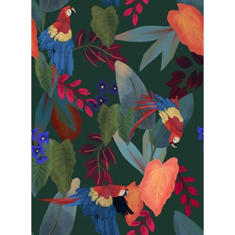 Papel de Parede Botânica 81628