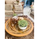 Ver imagem 1 de Mesa de Centro de Sala Ripado Redondo 100 X 100