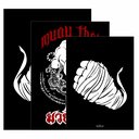 Ver imagem 4 de Kit 3 Quadro Decorativo Muay Thai Arte Marcial Sala Quarto 28x20cm