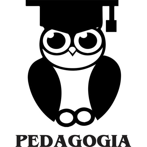Adesivo de Parede Profissões Pedagogia