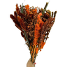 Buquê Casamento Terracota Natural para Decoração Arranjos - 5