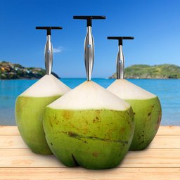 Furador Coco Aço Inox Profissional Resistente Abridor Manual Agua Coco Natural Fura Prático - 4