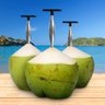 Furador Coco Aço Inox Profissional Resistente Abridor Manual Agua Coco Natural Fura Prático - 4