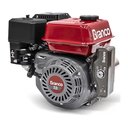 Ver imagem 3 de Ensiladeira Capim Capiaçu Sorgo e Motor a Gasolina B4t7.0h Partida Elétrica Branco Motores