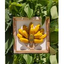 Ver imagem 5 de Kit quadros rústicos decorativo em madeira banana/pimenta artesanal