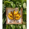 Kit quadros rústicos decorativo em madeira banana/pimenta artesanal - 5