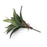 Folha Artificial Agave com Raiz X13 para Arranjos Verde 25 Cm F04 - D'rossi - 1