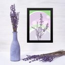 Ver imagem 1 de Quadro Decorativo Lavanda - Lilás e Verde 24x18cm:moldura Preta
