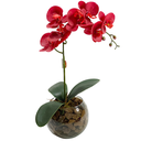 Ver imagem 1 de Arranjo de Orquídea Artificial Vermelha em Aquário Ollirg:vermelha
