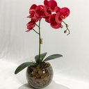 Ver imagem 4 de Arranjo de Orquídea Artificial Vermelha em Aquário Ollirg:vermelha