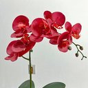 Ver imagem 2 de Arranjo de Orquídea Artificial Vermelha em Aquário Ollirg:vermelha