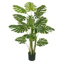 Ver imagem 1 de A. Costela de Adão Real Toque C/pote X16 (verde) 1,2m