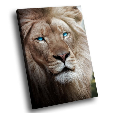 Quadro Leão Olhos Azuis -- BR ARTES
