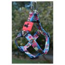 Ver imagem 4 de Coleira Cachorros com Guia Teen P Style